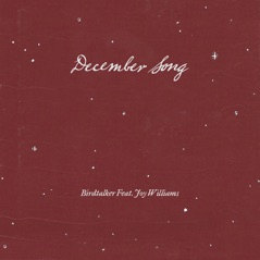 December Song (feat. Joy Williams) - Single