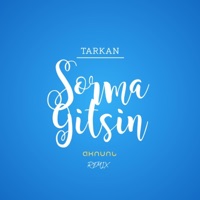 Sorma Gitsin AKNUNL Remix (TARKAN) - Single - AKNUNL