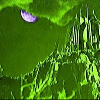 Tmdd - Single - PlutoZooted