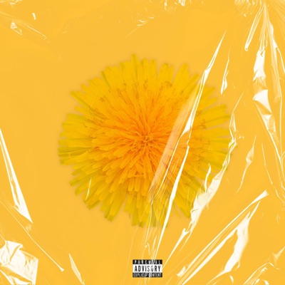 ILFLB2 Mini. - Single