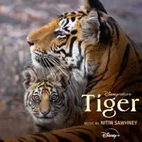 Mausam — Nitin Sawhney