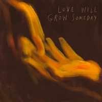 Love Will Grow Someday (feat. Maxim Rysanov, Māris Sirmais & Liepaja Symphony Orchestra) [Live] - Single - Jēkabs Jančevskis