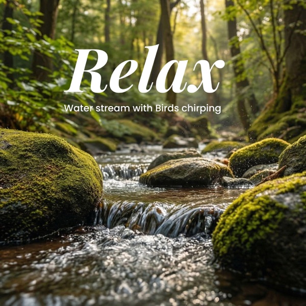 Peaceful Forest Stream_Gentle Water Sounds & Birdsong for Deep Relaxation