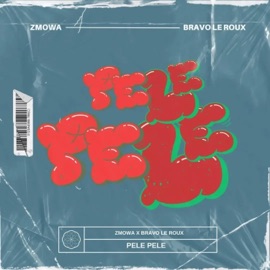 Pele - Pele (feat. Bravo Le Roux) Zmowa