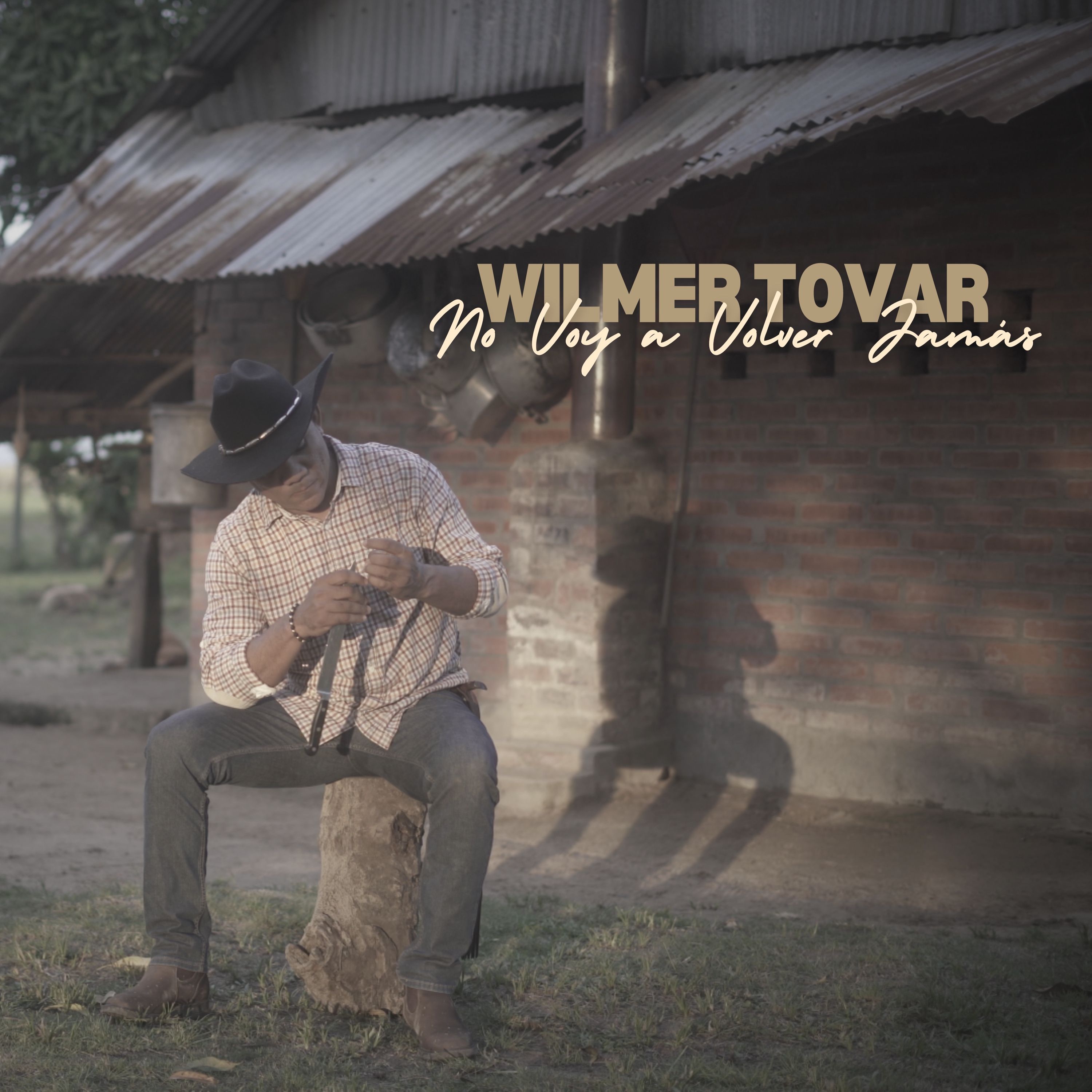 No Voy a Volver Jamás - Single