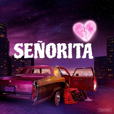 Señorita - Single