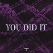 YOU DID IT artwork