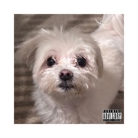 Two Pennies - Single - Enzo Rose & Elio Rose