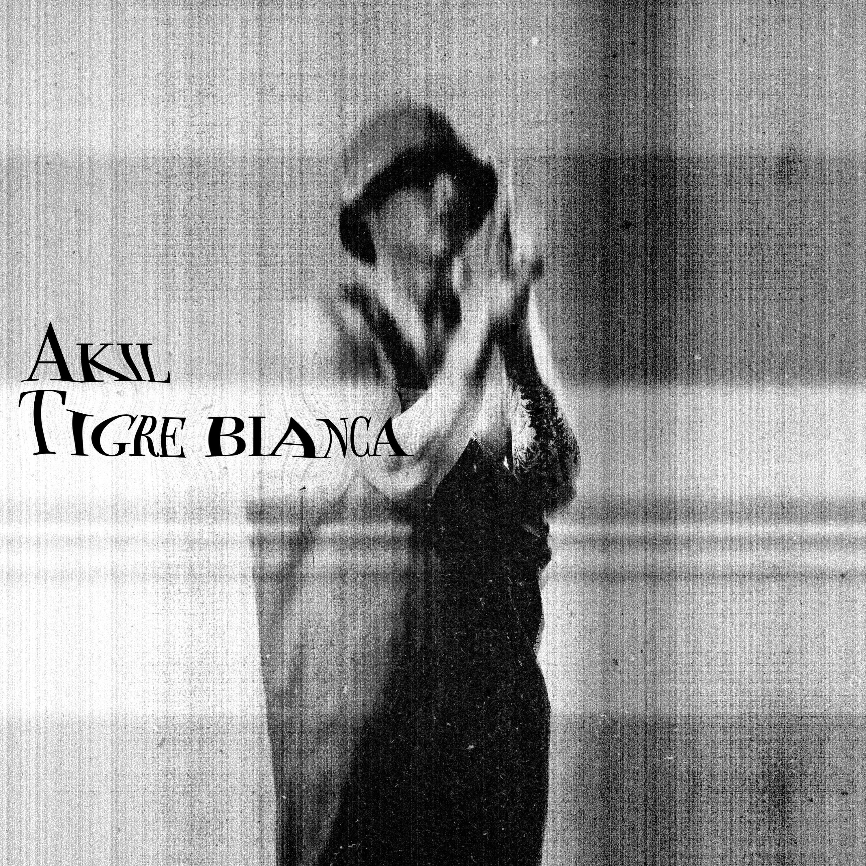 Akil - Feelings