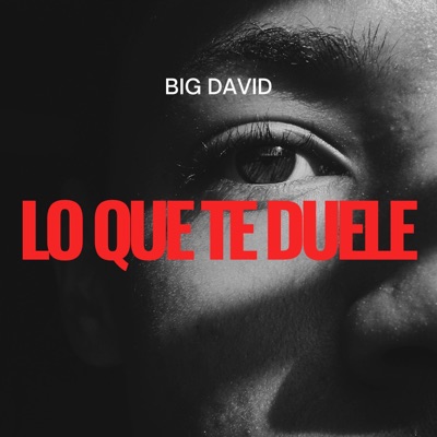 Lo Que Te Duele - Single