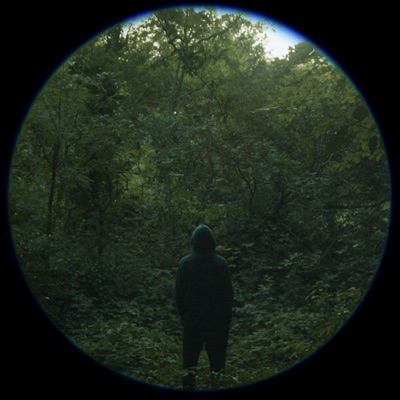 False Transmissions - Single