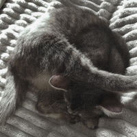 давайте прыгать в толпе - Single - передоз чувств