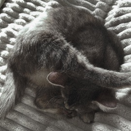 давайте прыгать в толпе передоз чувств