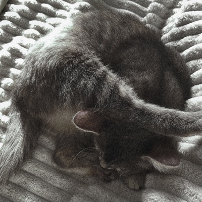 давайте прыгать в толпе - Single