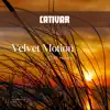 Velvet Motion