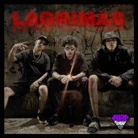 Lagrimas - Single - ZAG, Don Nofi & Sagat