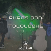 Puras Con Tololoche, Vol. 1 - Amilcar Morales