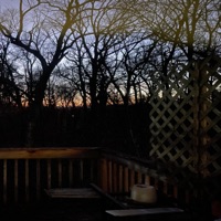 Alone - Single - Vvsbb