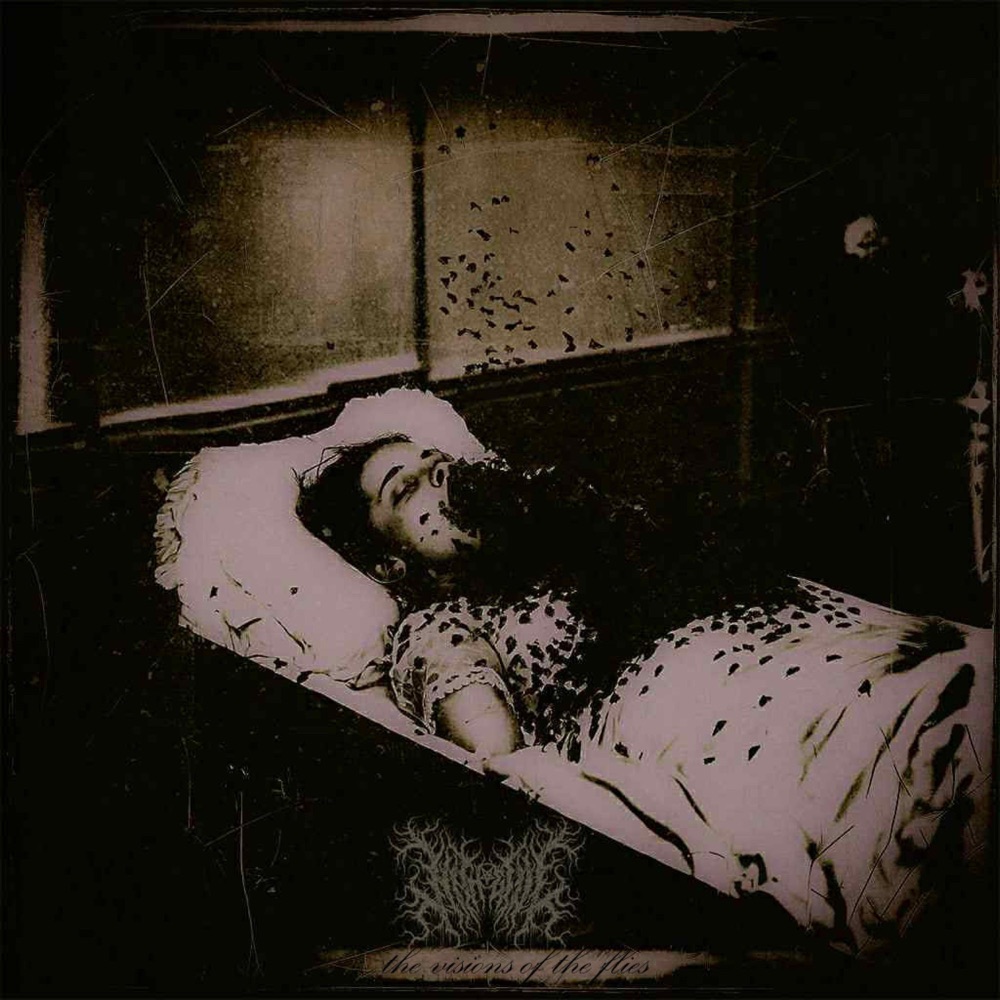 Обложка альбома «The Visions of the Flies - Single» — Nitheful