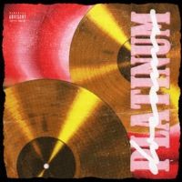 Platinum Dreams - Jaysanityy