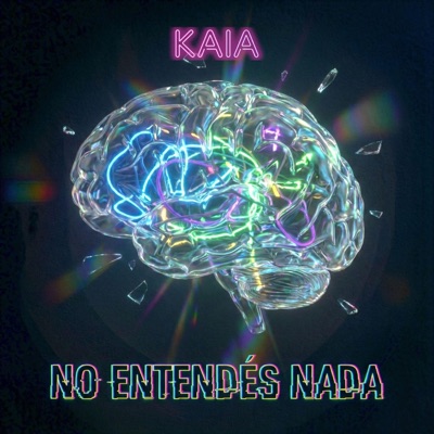 No entendés nada - Single