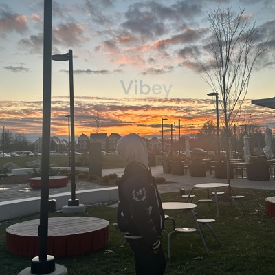 Vibey (feat. loafed up)