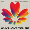 Why I Love You So cover art