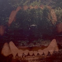 turn the room red - Single - Nextime & We Are Not Friends