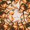 YVES (feat. CHIEFBIGSMOKE) - BassParker.mp3 lyrics
