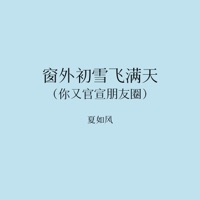窗外初雪飞满天 (你又官宣朋友圈) - Single - 夏如风