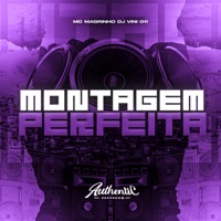 Montagem Perfeita (feat. Mc Magrinho) - Single - DJ VINI 011