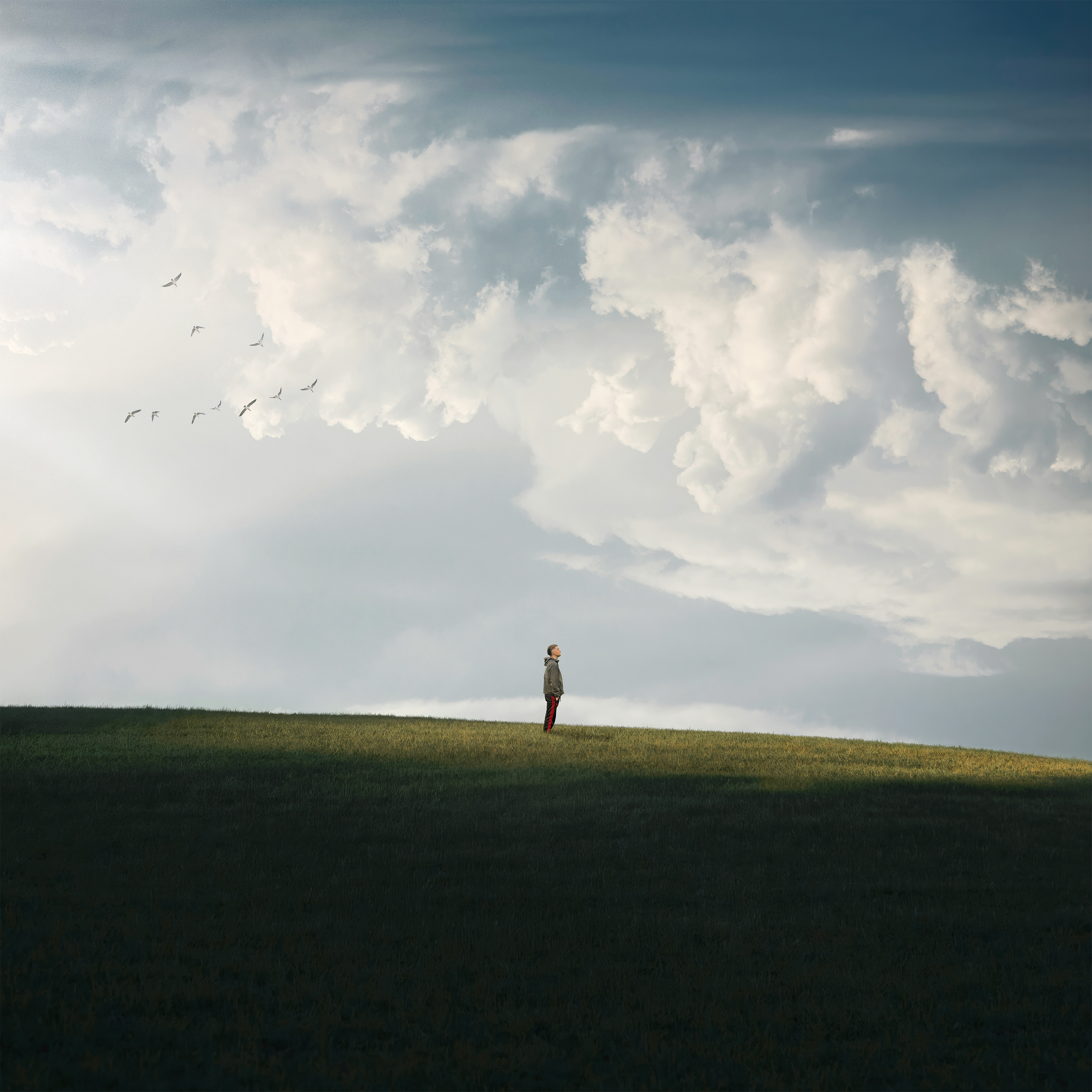 Fade to Grey - Single