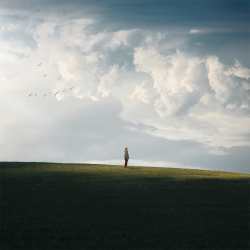 Ross Quinn - Fade To Grey