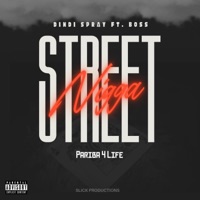 STREET N***A (feat. BOSS) - Single - Dindi Spray