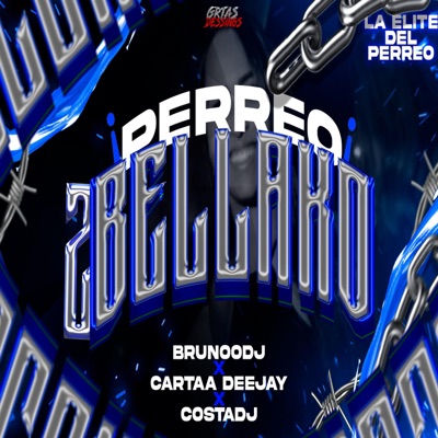 PERREO 2BELLAKOS (feat. BrunooDJ) - Single