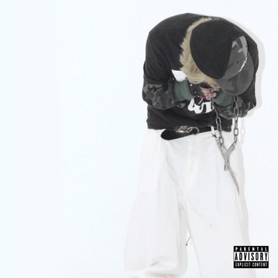 2 Tone Voice - Single