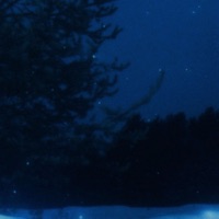 withering hour - Single - mirwin & nleave