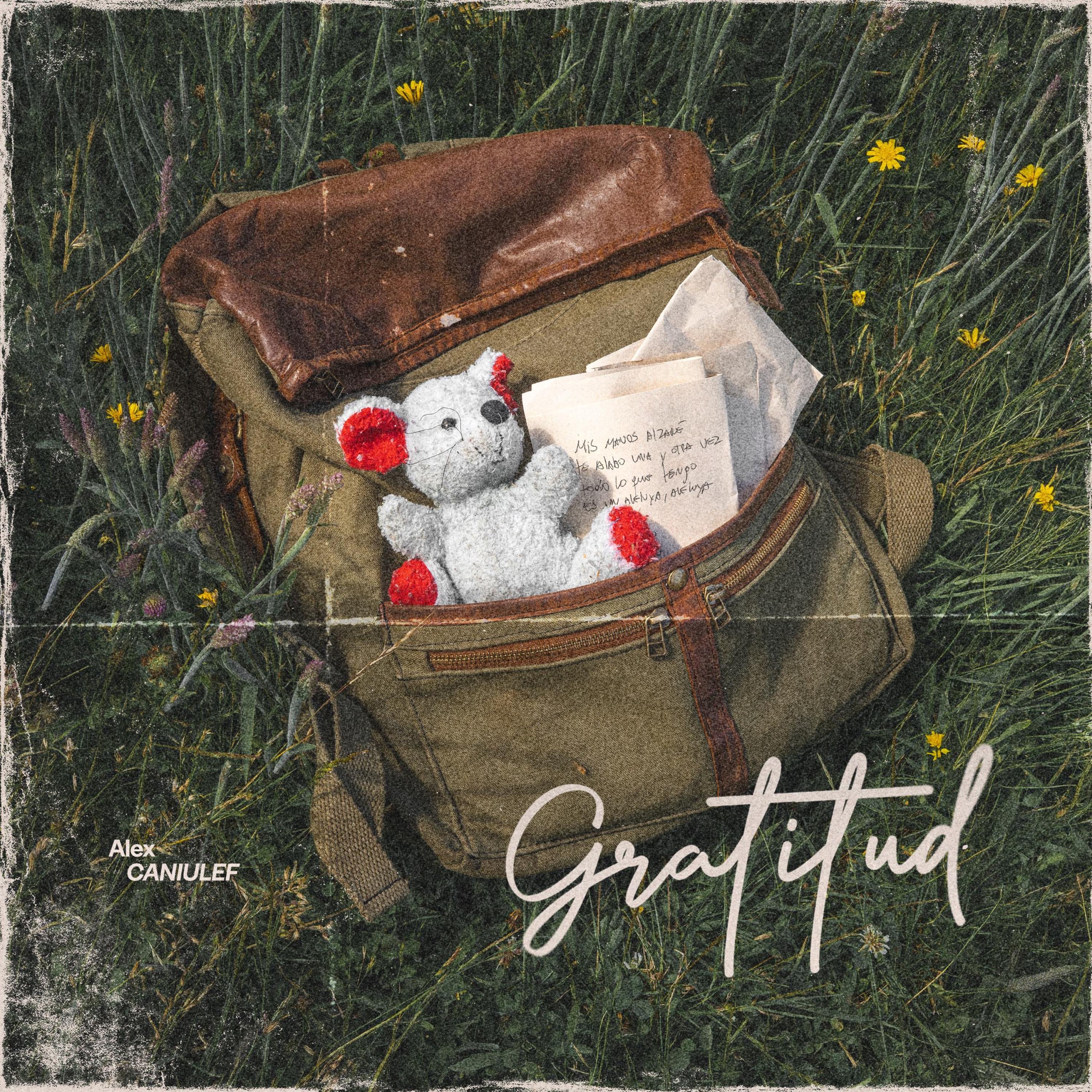 Gratitud - Single