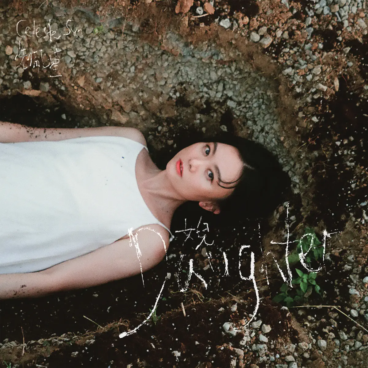 冼佩瑾 – 女兒 Daughter – Single (2024) [iTunes Plus AAC M4A]-新房子