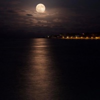 never fold - Single - dayvo