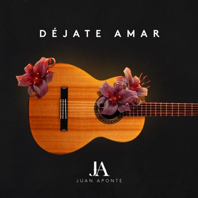 Déjate Amar - Single