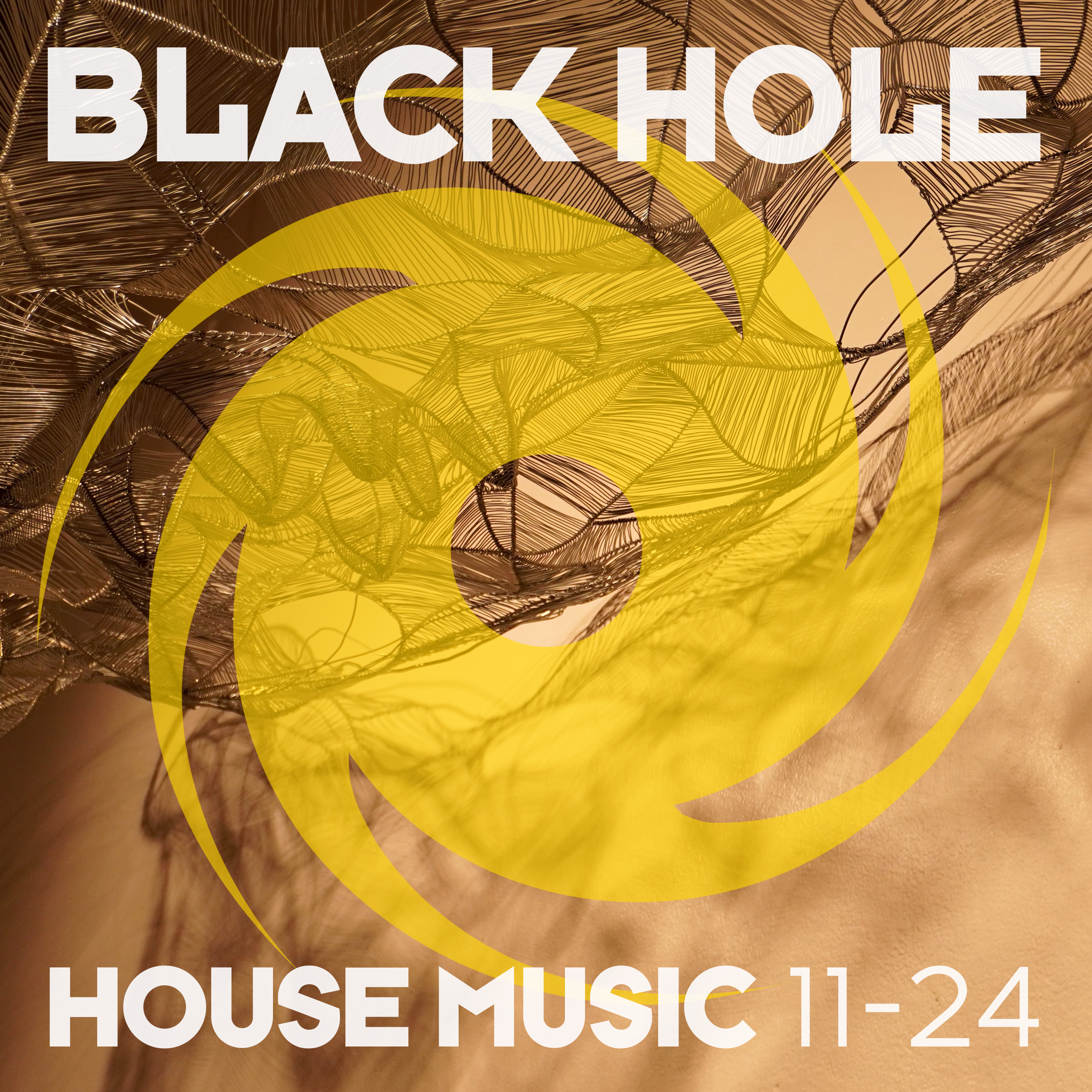 Black Hole House Music 11 - 24