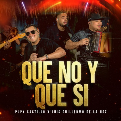 Que No y Que Si (En Vivo) - Single