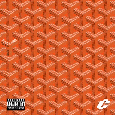 Goyard Bag - Single
