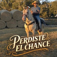 Perdiste El Chance
