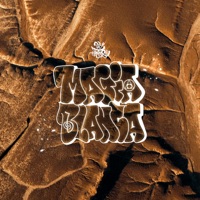 Magia Blanca - Single - DJ Transe