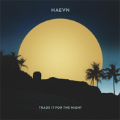 Trade It for the Night - HAEVN Cover Art