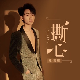 撕心 (Dj彭锐版伴奏) 孔德攀