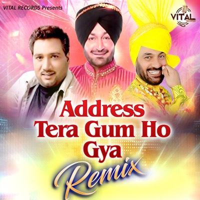 Address Tera Gum Ho Gya (Remix)