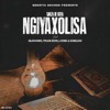 Ngiyaxolisa (Acoustic Version) [feat. Hlengiwe, JSTAR, Tyler Keys & Zukiline] - Single